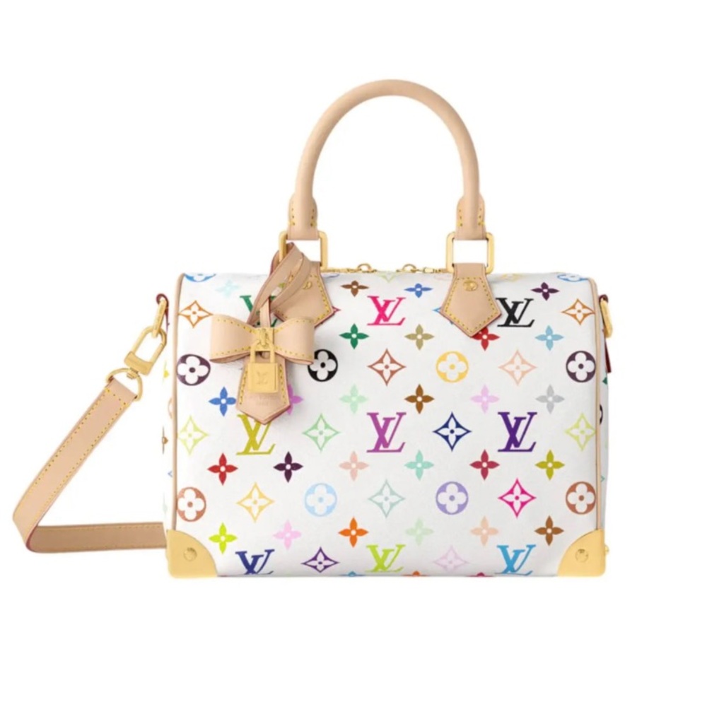 Louis Vuitton X Murakami Multicolor Speedy 30 Monogram Handbag
